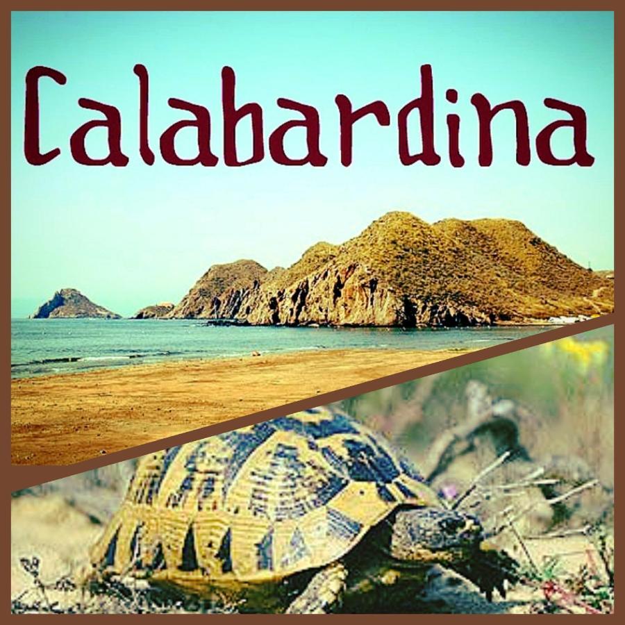 Residencia Tortuga Mora Apartment Calabardina Bagian luar foto